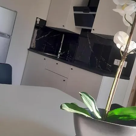 Apartma Ana Копер