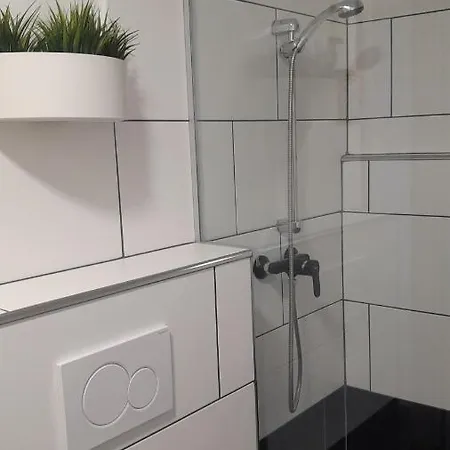 Apartma Ana 公寓